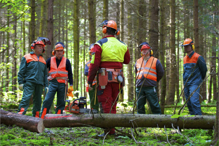 Bayern ist der Größte