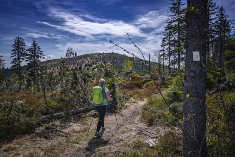 Destination Straubing und Bayerischer Wald